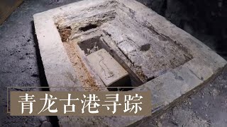 《青龙古港寻踪》寻迹千年古港 揭开隆平寺塔地宫的神秘面纱 | 中华国宝