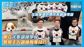 【創業軍師】創立犬隻訓練學校🐶教授主人訓練狗隻技巧🐩以跆拳道色帶代表訓練等級🥋 #香港狗校園