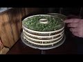 dehydrating vegetables