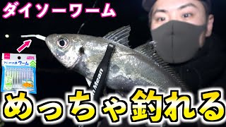 Catch and SUSHI  HORSE MACKEREL