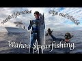 Florida Keys Wahoo Spearfishing: How to Spear your First Wahoo in South Florida!