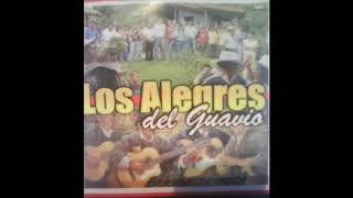 LOS ALEGRES DEL GUAVIO  SUEÑO LLANERO  JUANMENDIVELSOT