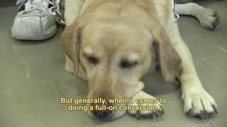 Illegally Blind (Open Caption, Audio Description)