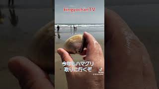 ハマグリ  潮干狩り  海  楽しい  楽しみ  皆も行こうね  待ってるよ