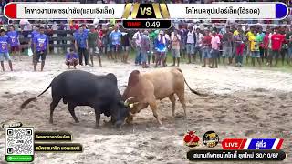 #คลิปวัวชน #สนามชนโคโกตี๋ยุคใหม่ | แสนเชิงเล็ก VS ไอ้รอด