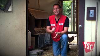 How to Choose a Chicken Coop | Tractor Supply Co.