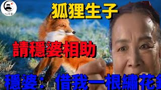 狐狸生子，請穩婆相助，穩婆：借我一根繡花針#人間客#民間故事#民间寓言#明朝愛情故事#中國民間故事#民間愛情故事#民間寓言