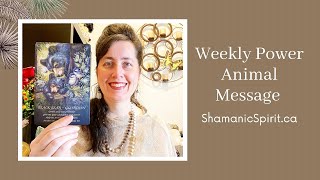 Jan 4-10, 2025: Weekly Power Animal Message And Crystal Healing Talisman. Bear symbolism