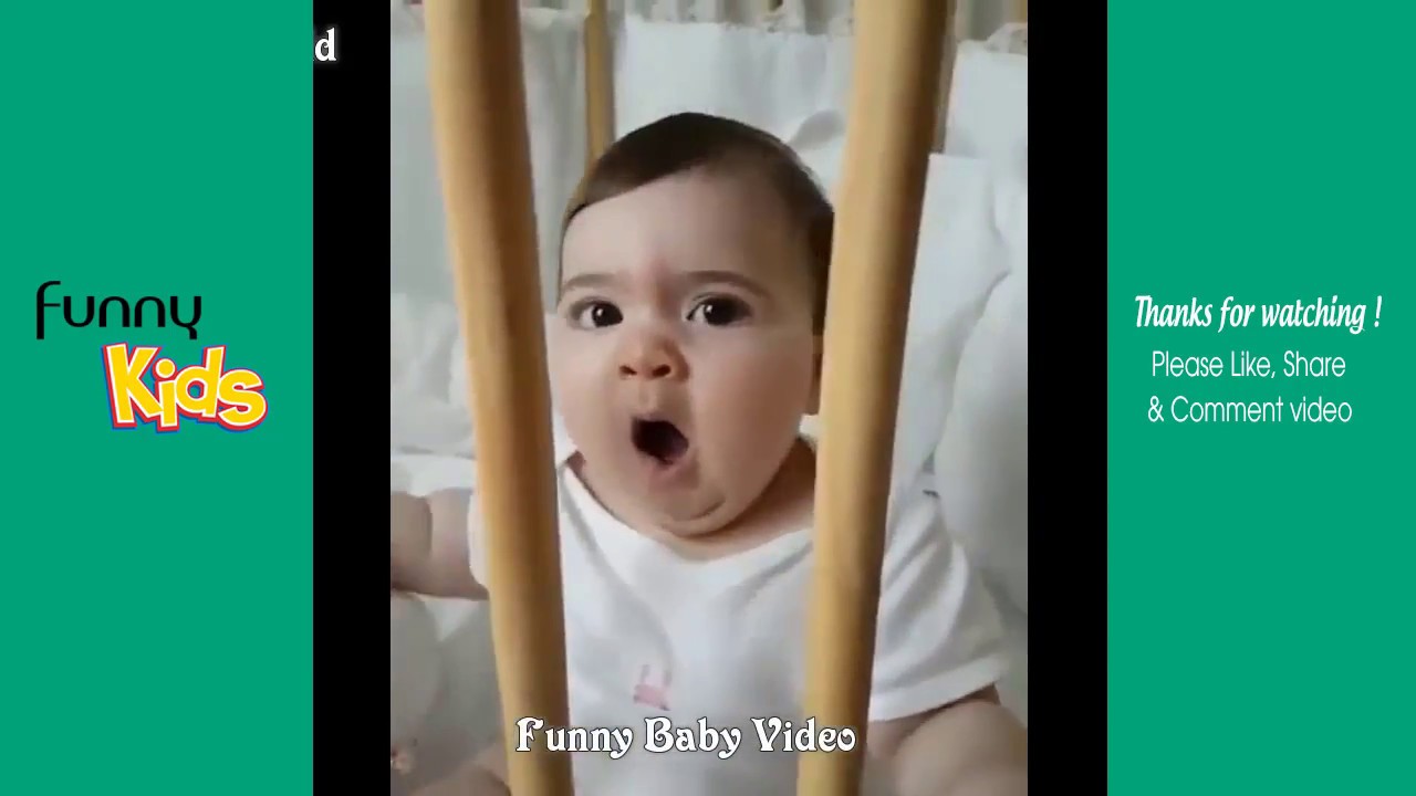 Cutest & Funniest Baby Videos You Must See Funny Baby Videos | Funny ...