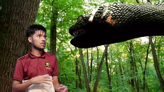 Anaconda snake in Real Life 3 Fan Film HD | #Cinematic vfx