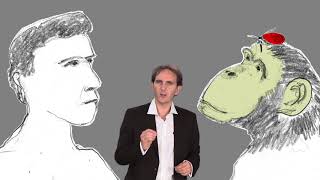 Sur les traces de... Charles Darwin - L'évolution humaine