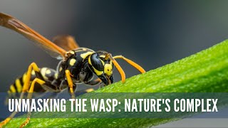 Unmasking the Wasp Nature's Complex