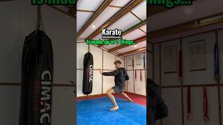 What is karate?