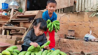 Banana Harvesting/Thinglhang life in Lamka, KUKILAND