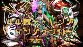 【パズドラ】第44回チャレンジダンジョンLV.10　転生パールPT