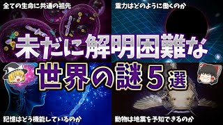 【ゆっくり解説】いまだ科学者が頭を悩ませる世界の謎５選【part⑮】