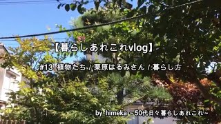 【暮らしあれこれvlog】　＃13  植物たち／栗原はるみさん／暮らし方