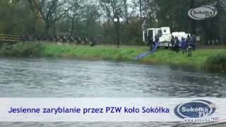 Jesienne zarybianie przez PZW koło Sokółka