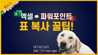 [엑셀꿀팁] 엑셀 표를 파워포인트에 제대로 복사하기