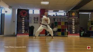 BUDO MARTIAL ARTS Shotokan kata Tekki Nidan Limerick 2018