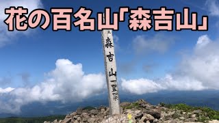 2023年7月4日秋田の森吉山に登ってきました／こまりなCafeVlog