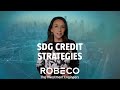 A suite of credit strategies with positive impact | Robeco SDG Credits Strategies