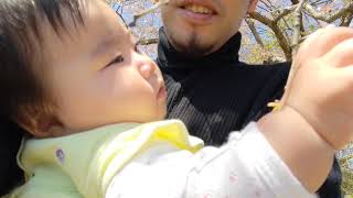 菊理　Vlog digest 067