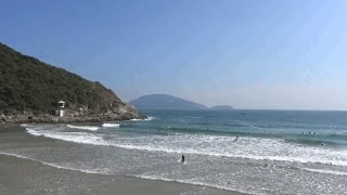 香港 サーフィン hongkong surf