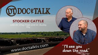 DocTalk Ep 556 - Stocker Cattle with Dr. Chay Trejo and Dr. Buddy Ray