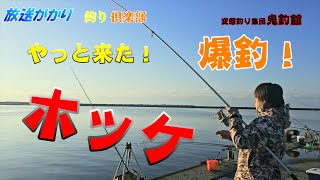 【北海道　釣り】　ホッケいたぞ！　釣れだしたら止まらんわ！　爆釣！！