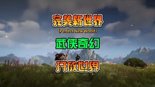 一款全新东方奇幻 开放世界 MMORPG游戏  《完美新世界》