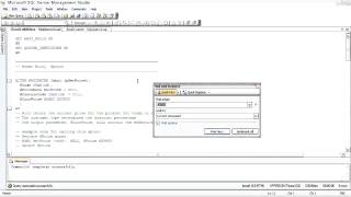 Sql Server Using the Query Editor