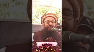 ہمارا ذہن یہ ہے کہ سیاست میں سنت کا کیا کام؟؟ پروفیسر ڈاکٹر حافظ عبدالرحمن مکی صاحب رحمہ بہاولپور