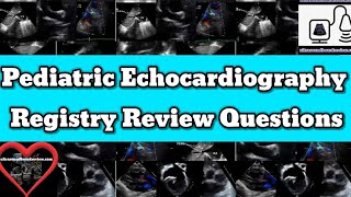 Pediatric Echocardiography Registry Review