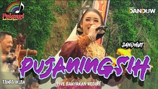 TAMPIL MEMUKAU❗️❗️MOMENT NIKEN TAMPIL DI MAYANGKORO ORIGINAL LIVE BANYAKAN KEDIRI