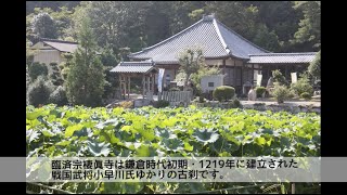 棲真寺 [中文(简体字)]