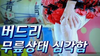 버드리 단장~6월 2일 장항항 꼴갑 축제 마지막 날,몸상태가 안좋아도 쉬지않고 계속 강행군