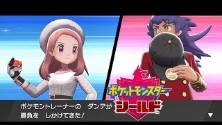 【ポケモン剣盾】クリア後 ダンデ戦 バトルタワー【ポケモンソードシールド】