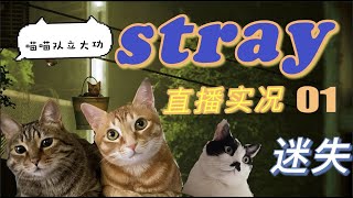 01 黑桐谷歌【迷失Stray】通關視頻直播實況｜喵喵隊立大功！ 「小貓咪能有什麼壞心眼呢？」｜橘貓歷險記