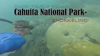 Snorkeling in Cahuita National Park! Costa Rica!! 🐠🐡