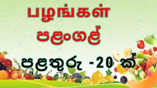 Fruits names  in Tamil and sinhala |  பழங்கள்  | පළතුරු  |  mr.sinhala master