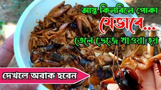 আস্ত ঝিঁঝি পোকা ভেঁজে খেলাম ।। Eating fried insects in village // চাকমারা যেভাবে পোকা খেয়ে থাকে