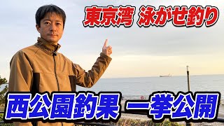 【東扇島西公園】青物狙いの泳がせ釣り前半戦釣果ダイジェスト！大型魚がまさかの入れ食い状態...