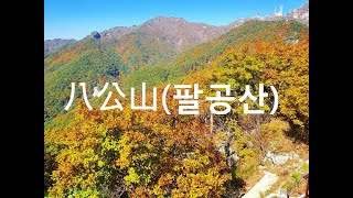 【韓國紅葉情報】大邱自由行景點｜八公山(팔공산)搭纜車賞楓去！