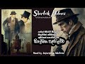 Sherlock Holmes | සිතුවමක පළහිලව්ව | Full Sinhala Audiobook | ෂර්ලොක් හෝම්ස් රහස් පරීක්ෂක