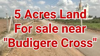 5 acres of land for sale near Budigere cross #landforsalenearbangalore #LandForSaleInBangalore