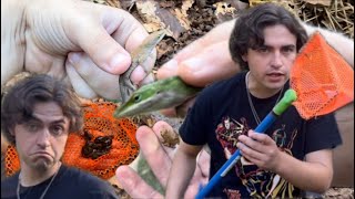 I found a pond infested with tadpoles! #frog #tadpoles #lizard #animals  #youtube #fyp