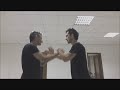 Wing Chun Chi Sao / Lonate Ceppino