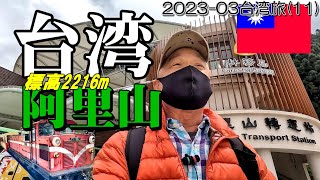 台湾の森林鉄道で阿里山に登ってみた…標高2216mへ…[2023-03台湾旅:第１１回]