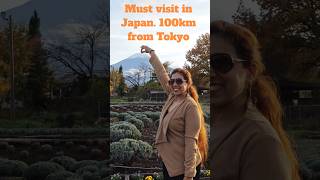 A must visit in Japan!!!! Truly amazing experience ✨✨ Subscribe for more updates!!